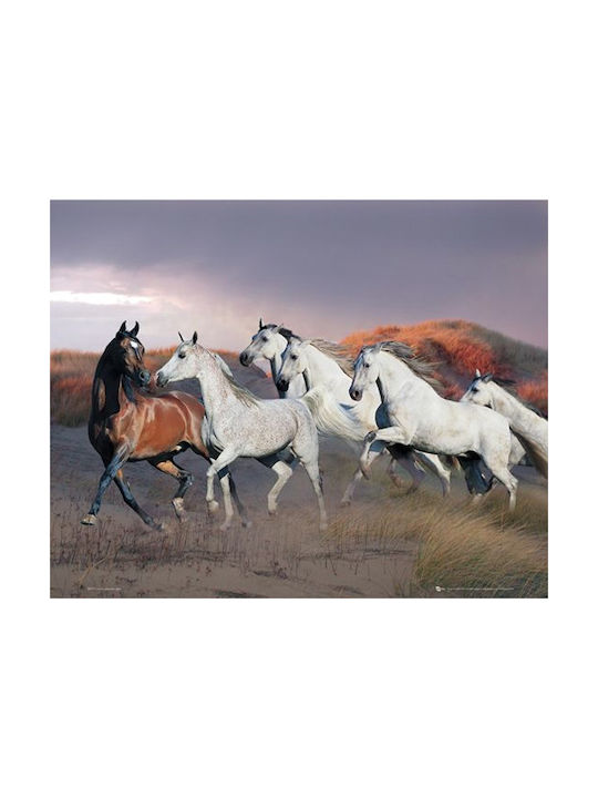 Poster Pferd Lauf 40,6x50,8cm