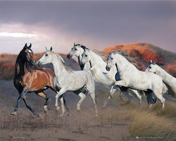 Poster Horse Running 40.6x50.8cm