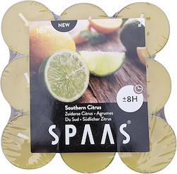 Aromatische Teelichter Lime Bis zu 8 Stunden Brenndauer