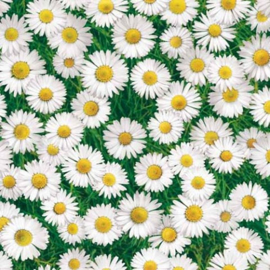 Față De Masă Pânză Photoprint 702 1,40 X 1,80