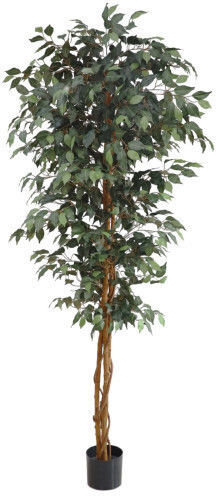 Harmony Plantă Artificială Ficus Lyrata 213cm