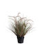 Harmony Artificial Plant Gynerio Pampas Grass 115cm