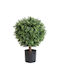 Harmony Τεχνητό Φυτό Πυξάρι Buxus 50cm