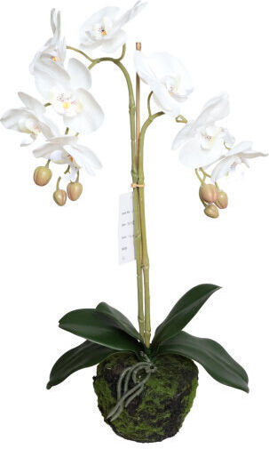 Harmony Plantă Artificială Orhidee 58cm