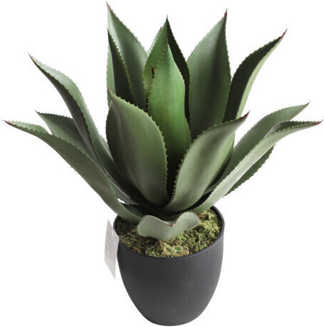 Harmony Artificial Agave Plant 55cm