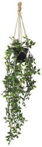 Harmony Künstliche Pflanze Hängender Ficus 70cm