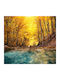 Digital Print Roller E208 Width 100cm Height 200cm