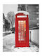 Ρόλερ Digital Print E495 Φ100xυ120
