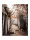 Ρόλερ Digital Print E263 Φ100xυ120