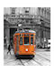 Digital Print Roller E505 Width 120cm Height 240cm