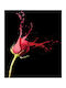 Ρόλερ Digital Print E400 Φ100xυ160