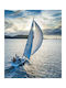 Ρόλερ Digital Print E414 Φ140xυ220