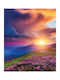 Ρόλερ Digital Print E468 Φ180xυ220