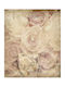 Ρόλερ Digital Print E432 Φ120xυ180