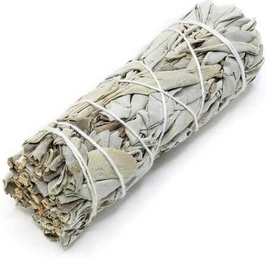 Smudge Stick White Sage & Blue Sage 10cm Τεμάχιο 35gr Ancient Wisdom