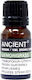 Ancient Wisdom Aromatisches Öl Bio-Zitronengras 10ml