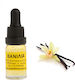 Βανίλια Αρωματικό Έλαιο 10ml