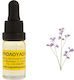 Ulei Aromatic Floare Sălbatică 10ml
