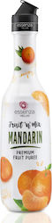 Piure Fruit ’n Mix Mandarină 1.3kg Piure Fruit ’n Mix Mandarină 1.3kg