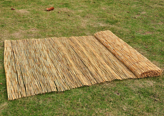 Jardi Каламоти с Целият Рийд 2x5m