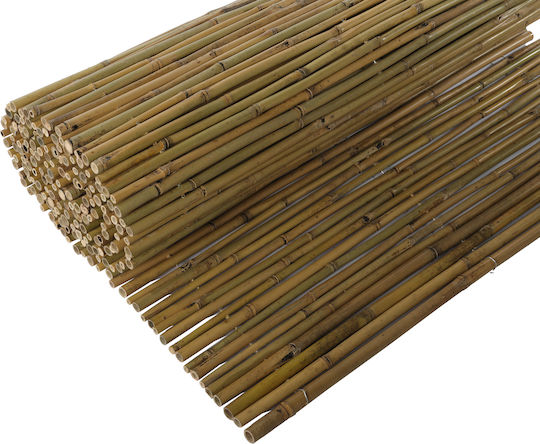 Jardi Bambuszaun mit Ganzes Schilf Bambus 2x3m 14700993 Jardi Bambuszaun mit Ganzes Schilf Bambus 2x3m 14700993