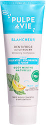 Pulpe De Vie Toothpaste Fluoride Free 75ml Pulpe De Vie Toothpaste Fluoride Free 75ml