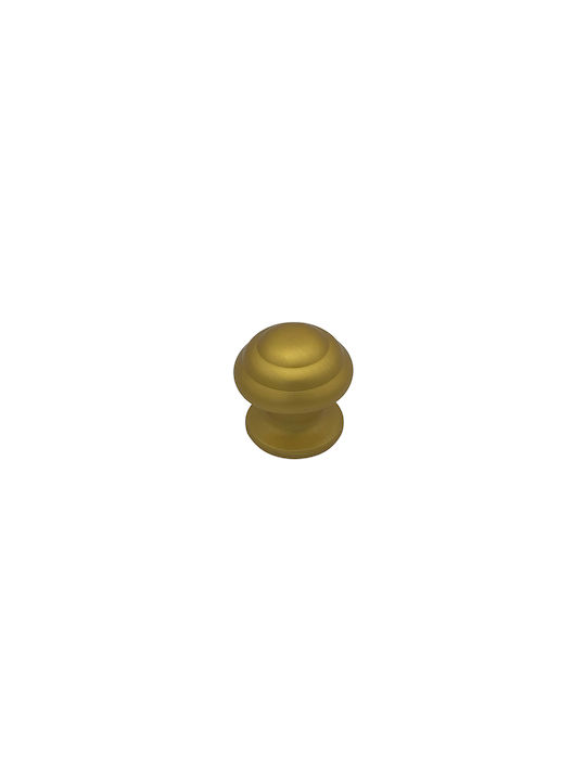 Saguatti Knob Front Door Satin Gold