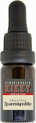 Essential Oil Rose 20 Gr Packaging