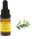 Teebaum Ätherisches Öl 10ml