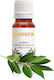 Laurel Ulei Esențial 20 Ml