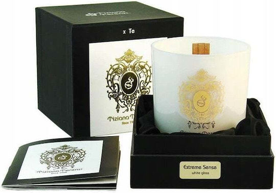 Tiziana Terenzi Διακοσμητικό Κερί σε Βάζο 170gr