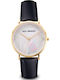 Gaia Af5003.8