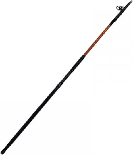 Καλάμι Ψαρέματος για Casting 3.5m 100-200gr