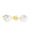 Yellow Gold Stud Earrings K14 Pearl Sk11100159