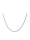 Pacifista Gold Chain 3mm Steel Neck Chain 316l 55 Cm