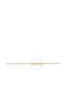 Gold Kette Spiga Dünn N1 55cm