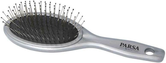 Parsa Unicolor Oval Kleine Haarbürste Mit Zinken Silber