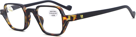 Cammello Reading Glasses +2.50 in Brown color