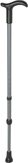 Rebotec Simplex Gehstock Aluminium Verstellbare Höhe Bis 125kg Grau