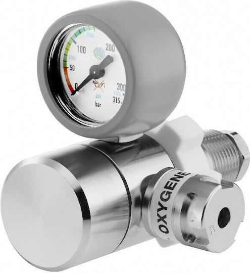 Oxygen Cylinder Pressure Regulator Intake Afnor – Detreg