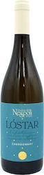 Cantina Zaccagnini White Dry 750ml Cantina Zaccagnini White Dry 750ml