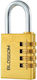 Blossom Bronze Padlock Brass with Key 1pcs