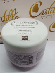 Alterego Μάσκα Μαλλιών 500ml Alterego Μάσκα Μαλλιών 500ml
