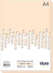 Skag Zazoo Χαρτόνι Α4 160γρ Ιβουάρ 100φ 306072