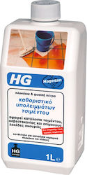Hg 104100777 Почистващ Препарат За Остатъци От Цимент 1л Product 11