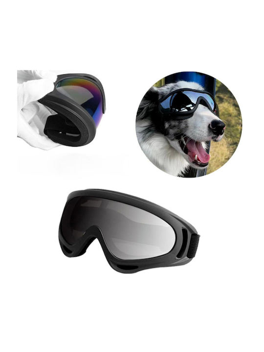 Windproof Glasses Adjustable Straps Size 18x8cm