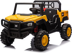 CAT UTV Buggy for 3+ Years