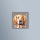 Decorative Magnet Metallic Surfaces Golden Retriever