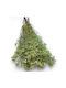 Green Olive Gypsophila Bouquet 100gr 70cm L119pr Rin-l119pr