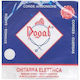 Dogal R67 013